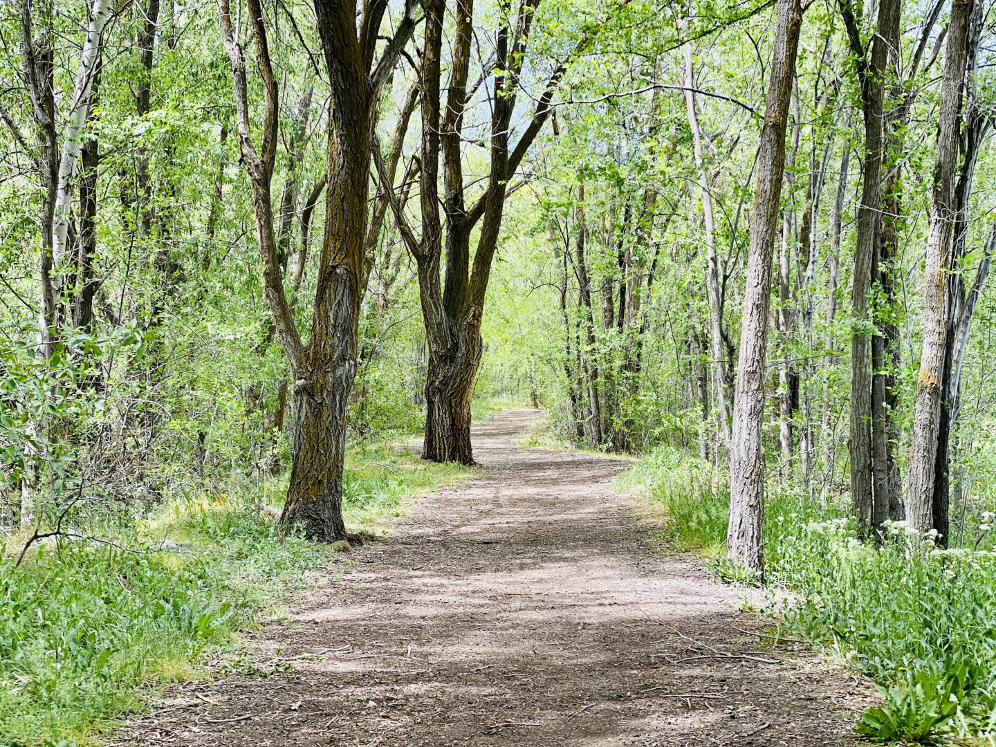 Natural walking trails