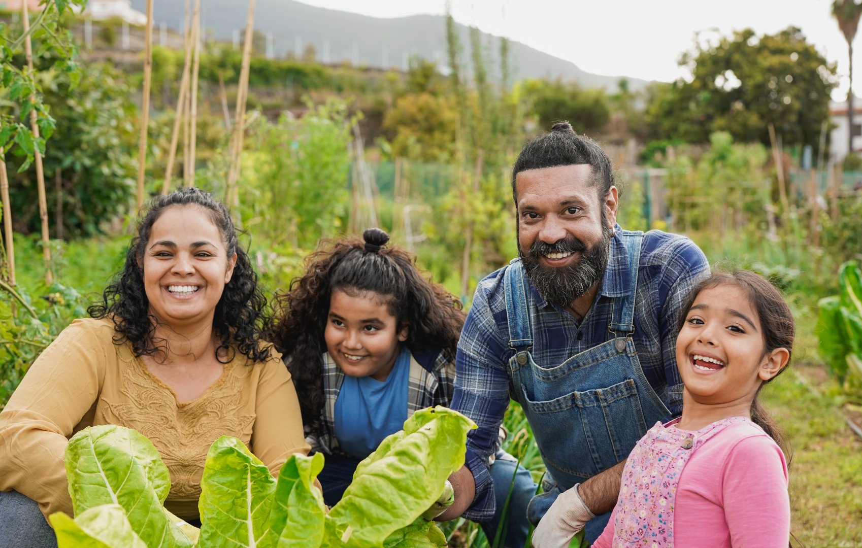 Families enjoying farm life