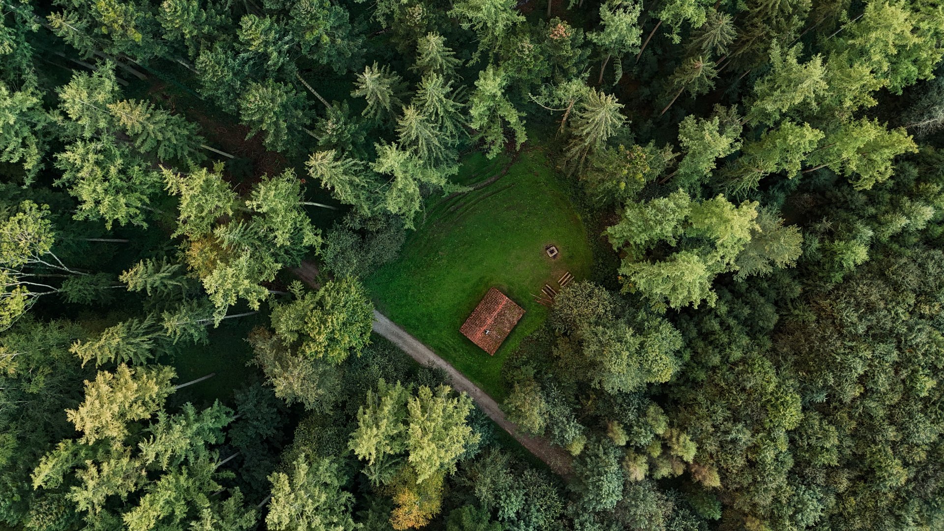 Urban Sanctuary canopy aerial hero